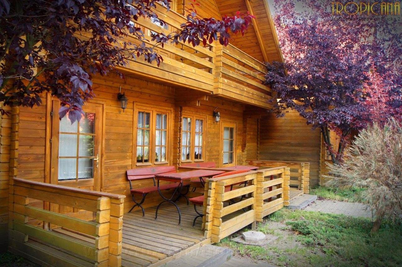 Tropicana Ϫϫ Jastrzębia Góra Exterior foto