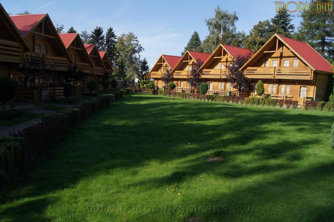 Tropicana Ϫϫ Jastrzębia Góra Exterior foto
